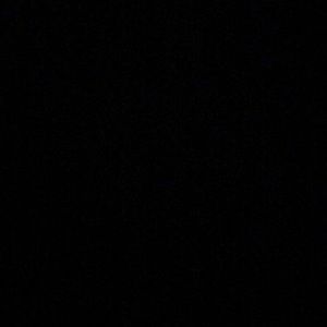 Meet your Posher, Dani